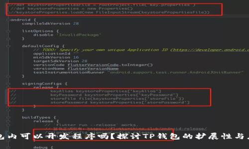 在TP钱包内可以开发程序吗？探讨TP钱包的扩展性与应用潜力