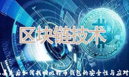 
手机丢失后如何找回比特币钱包的安全性与应对策略