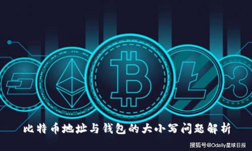 比特币地址与钱包的大小写问题解析