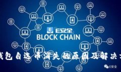TP钱包自选币消失的原因及