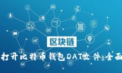 如何打开比特币钱包DAT文