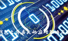 比特币钱包文件丢失的应