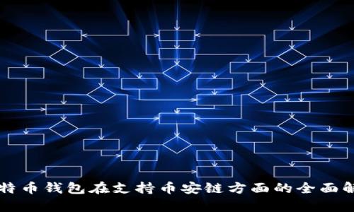 比特币钱包在支持币安链方面的全面解析