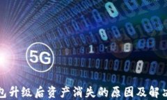 TP钱包升级后资产消失的原