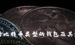 深入探讨比特币类型的钱