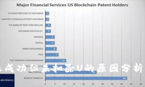 TP钱包转账成功但未扣除U的原因分析与解决方法