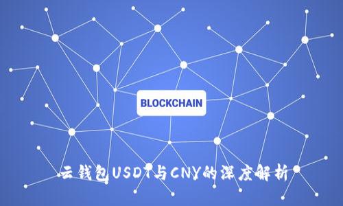 云钱包USDT与CNY的深度解析