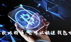 半枚比特币：它可以放进