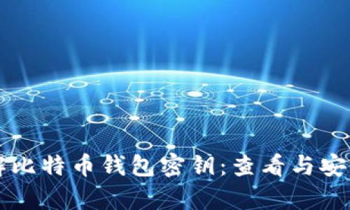 深入了解比特币钱包密钥：查看与安全性分析