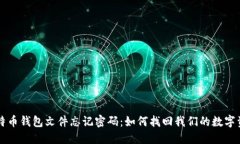 比特币钱包文件忘记密码
