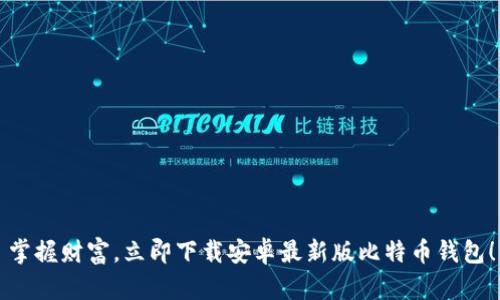 掌握财富，立即下载安卓最新版比特币钱包！