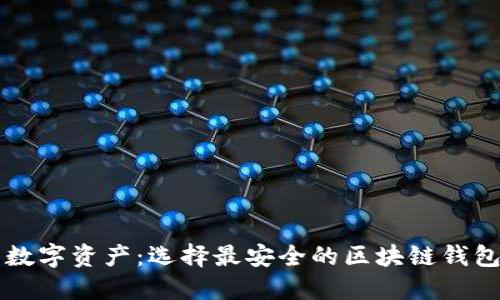 掌握您的数字资产：选择最安全的区块链钱包管理工具