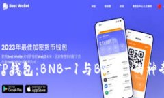 揭秘TP钱包：BNB-1与BSC-1的
