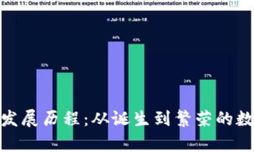 : 比特币钱包的发展历程：从诞生到繁荣的数字财富管理之路