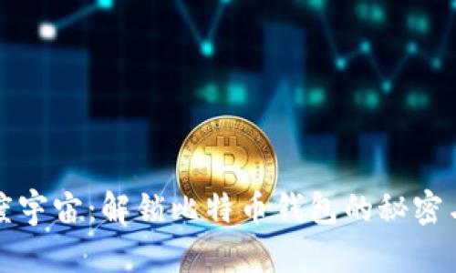 探索度宇宙：解锁比特币钱包的秘密与潜力