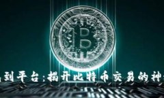 从钱包到平台：揭开比特