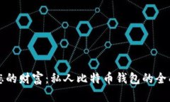 保护您的财富：私人比特