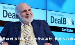 揭开比特币钱包交易的神