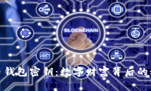 探寻流浪的比特币钱包密钥：数字财富背后的秘密与冬天的归宿