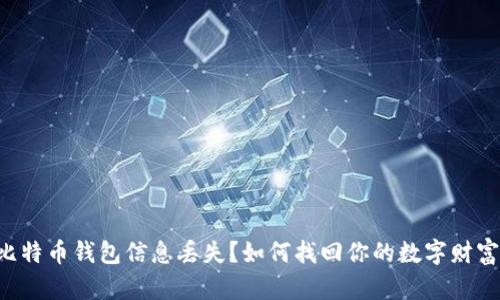 比特币钱包信息丢失？如何找回你的数字财富！