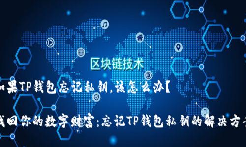 如果TP钱包忘记私钥，该怎么办？

找回你的数字财富：忘记TP钱包私钥的解决方案