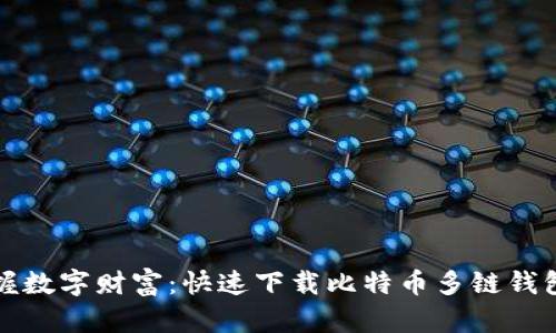 轻松掌握数字财富：快速下载比特币多链钱包的方法