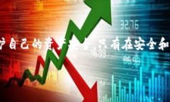 在讨论TP钱包被盗的可能原