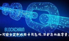 如何安全获取比特币钱包