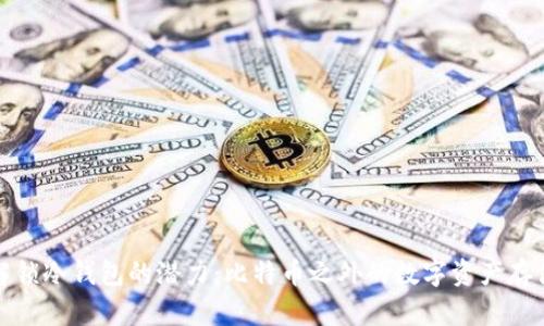 解锁冷钱包的潜力：比特币之外的数字资产存储