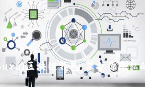 全方位解析Samourai区块链钱包：保护你隐私的数字财富守护者