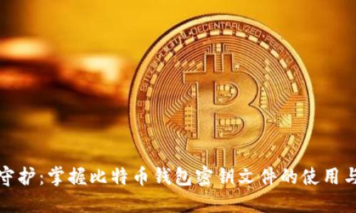 安全守护：掌握比特币钱包密钥文件的使用与保护