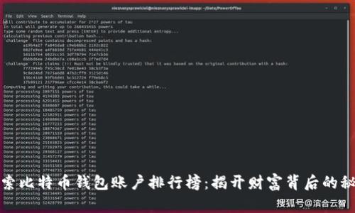 探索比特币钱包账户排行榜：揭开财富背后的秘密