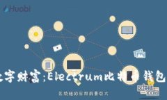 掌握你的数字财富：Elec
