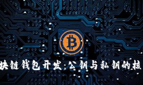 掌握区块链钱包开发：公钥与私钥的核心秘密！