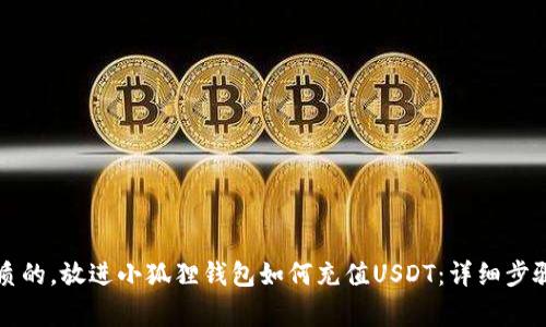 思考一个优质的，放进小狐狸钱包如何充值USDT：详细步骤与注意事项