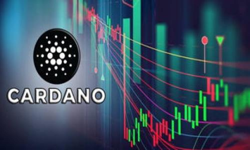 

比特币钱包是否记录用户IP地址的真相