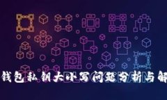 TP钱包私钥大小写问题分析