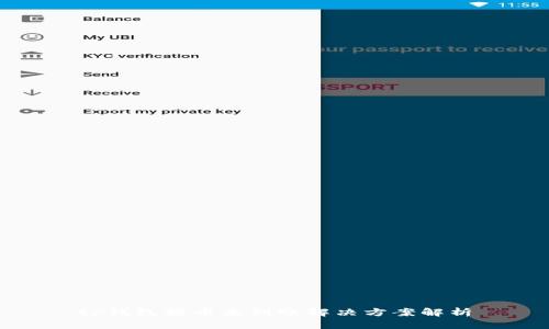 tp钱包提币未到账解决方案解析