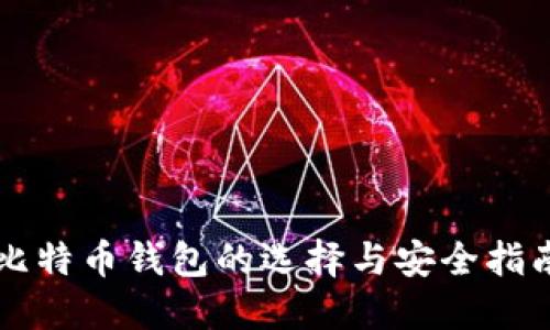 比特币钱包的选择与安全指南