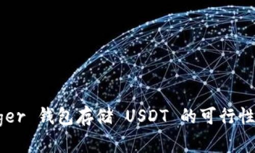 Ledger 钱包存储 USDT 的可行性分析