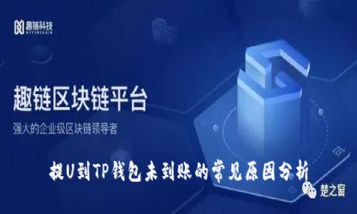 提U到TP钱包未到账的常见原因分析
