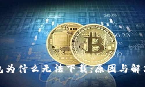 TP钱包为什么无法下载：原因与解决方案
