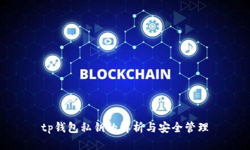 tp钱包私钥的解析与安全管理