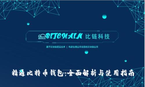 精通比特币钱包：全面解析与使用指南