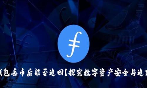 : TP钱包丢币后能否追回？探究数字资产安全与追踪机制