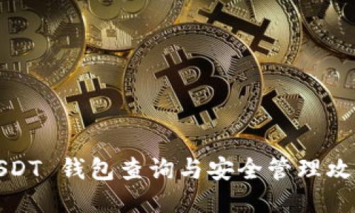 USDT 钱包查询与安全管理攻略