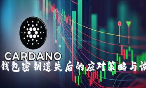 以太坊钱包密钥遗失后的应对策略与恢复方法