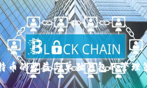 比特币的收益与单独钱包的管理策略