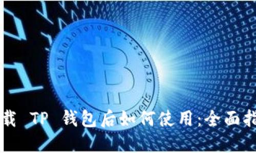 下载 TP 钱包后如何使用：全面指南