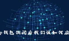 : tp钱包倒闭后我们该如何